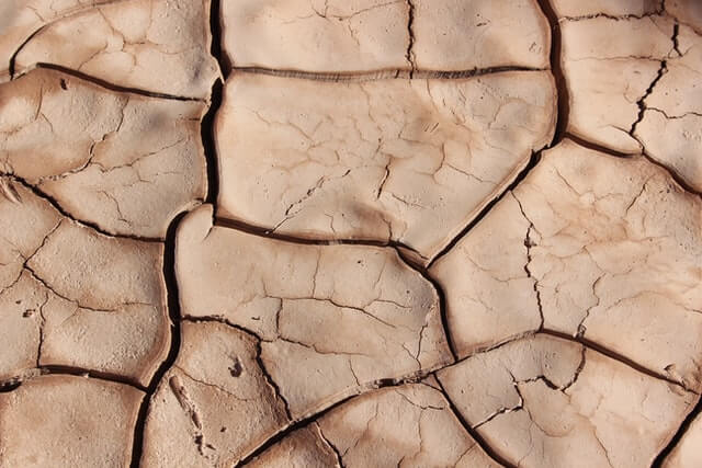 Dry barren land resembling dry skin